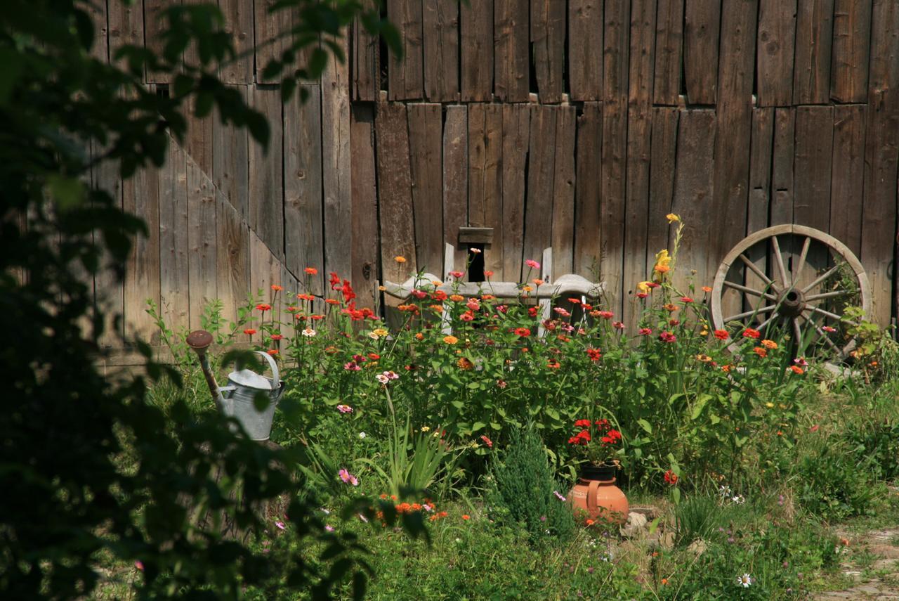 Casa Cu Zorele, Crit 189 エクステリア 写真